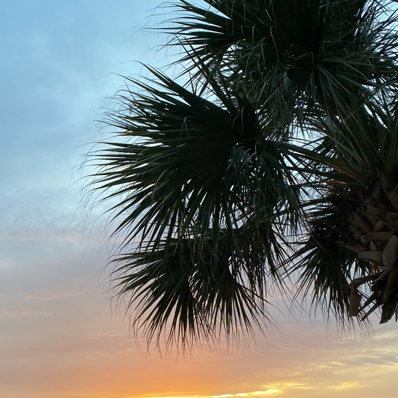 Meet your Posher, Jennifer - Picture 1 of 1